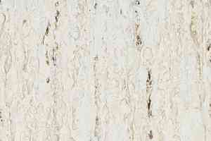 Линолеум Tarkett iq Optima White 0862 фото  | FLOORDEALER